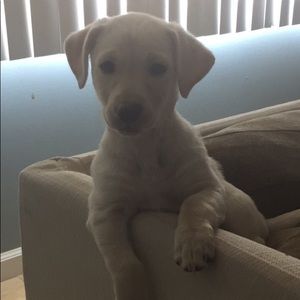 Meet your Posher, Kenny